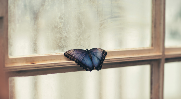 Prophecy for 2018: Metamorphosis—Radical Change is Coming