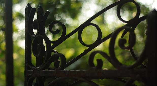 There’s Provision at the Gate!