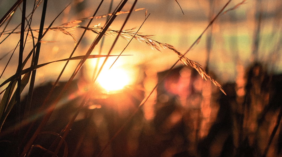 What to Expect in a ‘Ruth’ Year