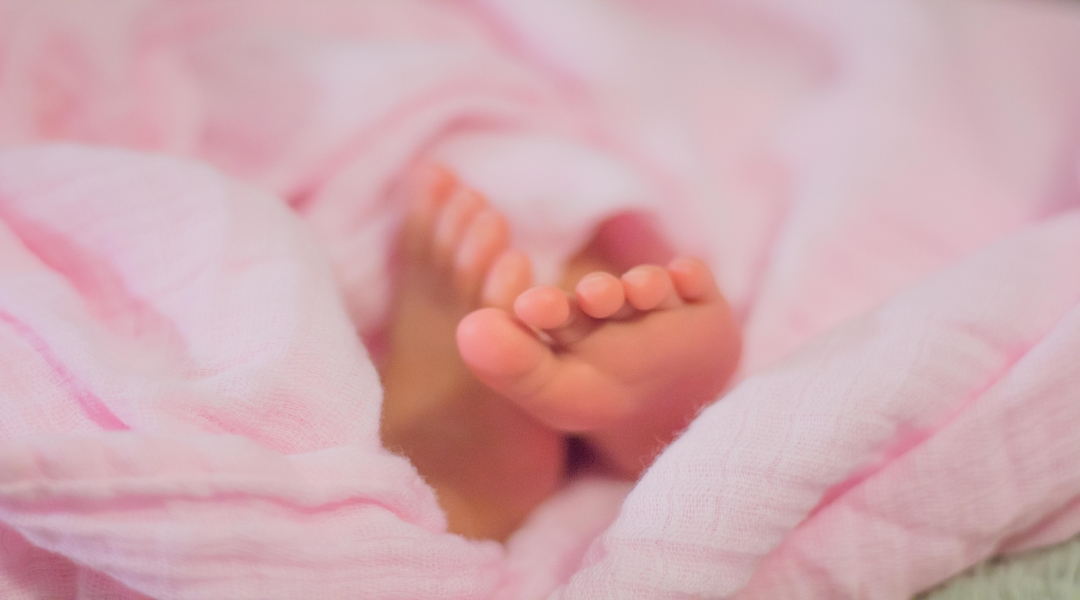 5779: A Year of Giving Birth and Serpent Warfare