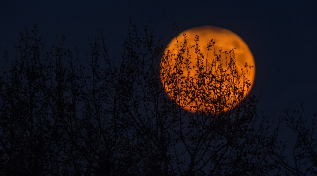 ‘Christian Witch’ Prophecy Comes to Pass With Curses Rising Rapidly
