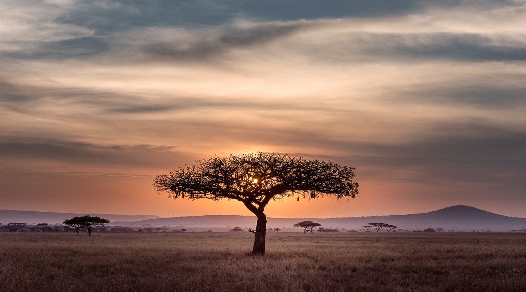 Prophecy: Africa Will Break Through With Innovative Discoveries