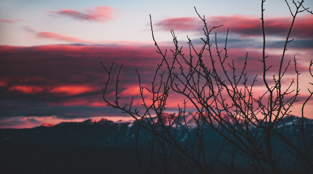 Have Millions of Christians Been Misled About the Second Coming of Jesus?