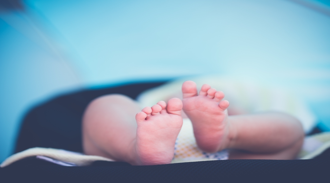 Jane Hamon: A Season of Transition and Birthing