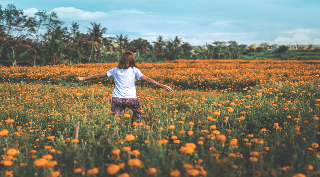 Jane Hamon: This Is a Year of Resurrection Life
