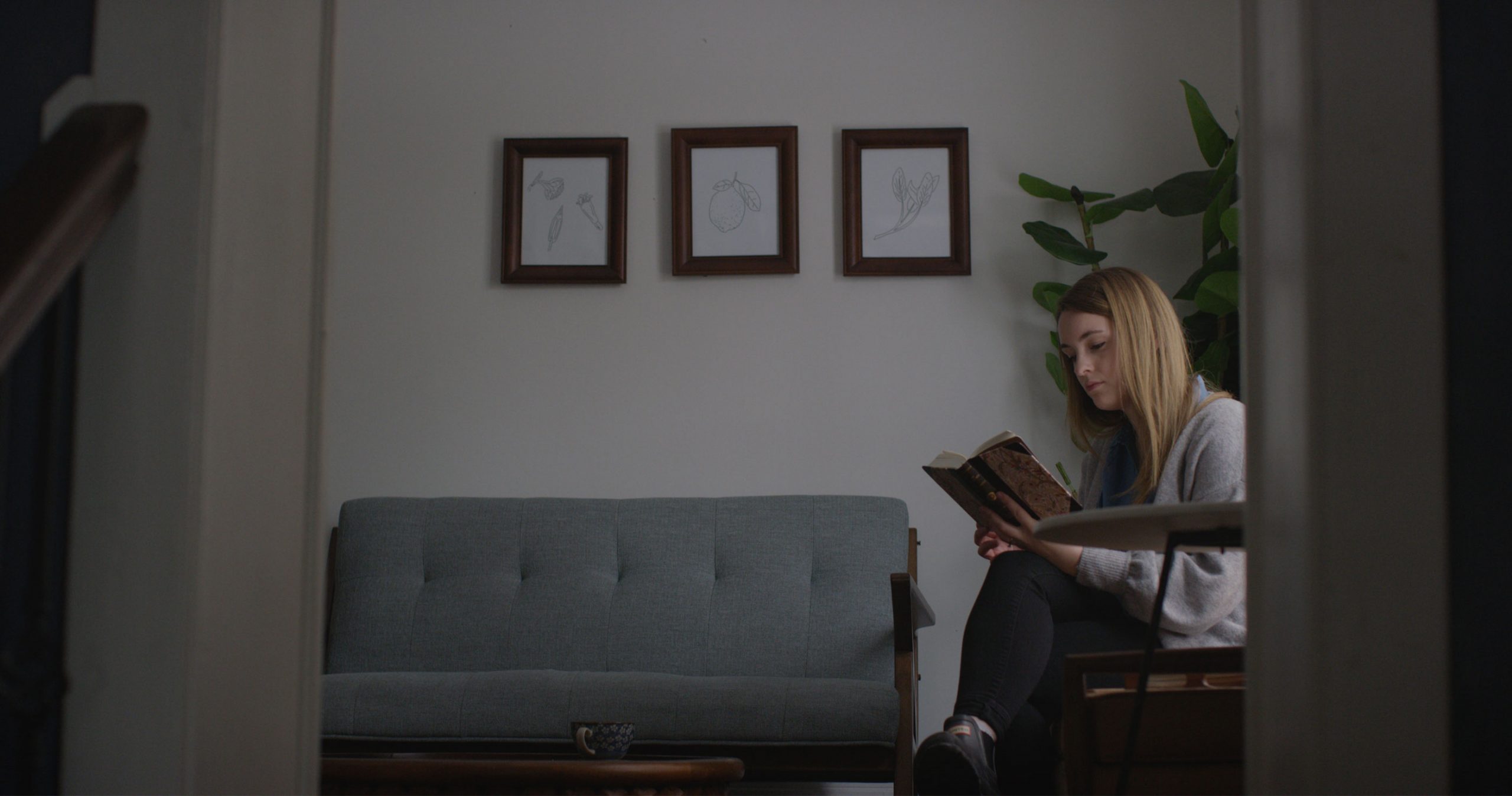 Why Study the Books of Joel, Amos, and Obadiah?
