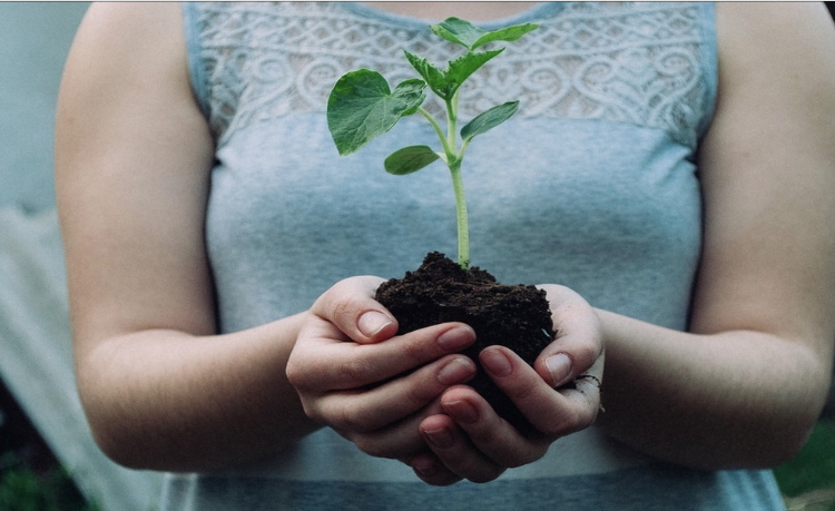 A Prophetic Word for White Witches Worshipping Earth