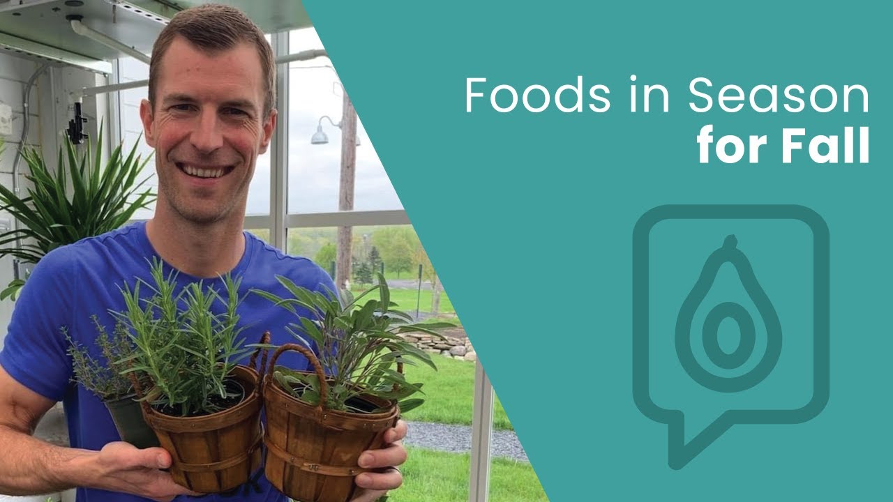 Best Foods in Season for Fall | Dr. Josh Axe