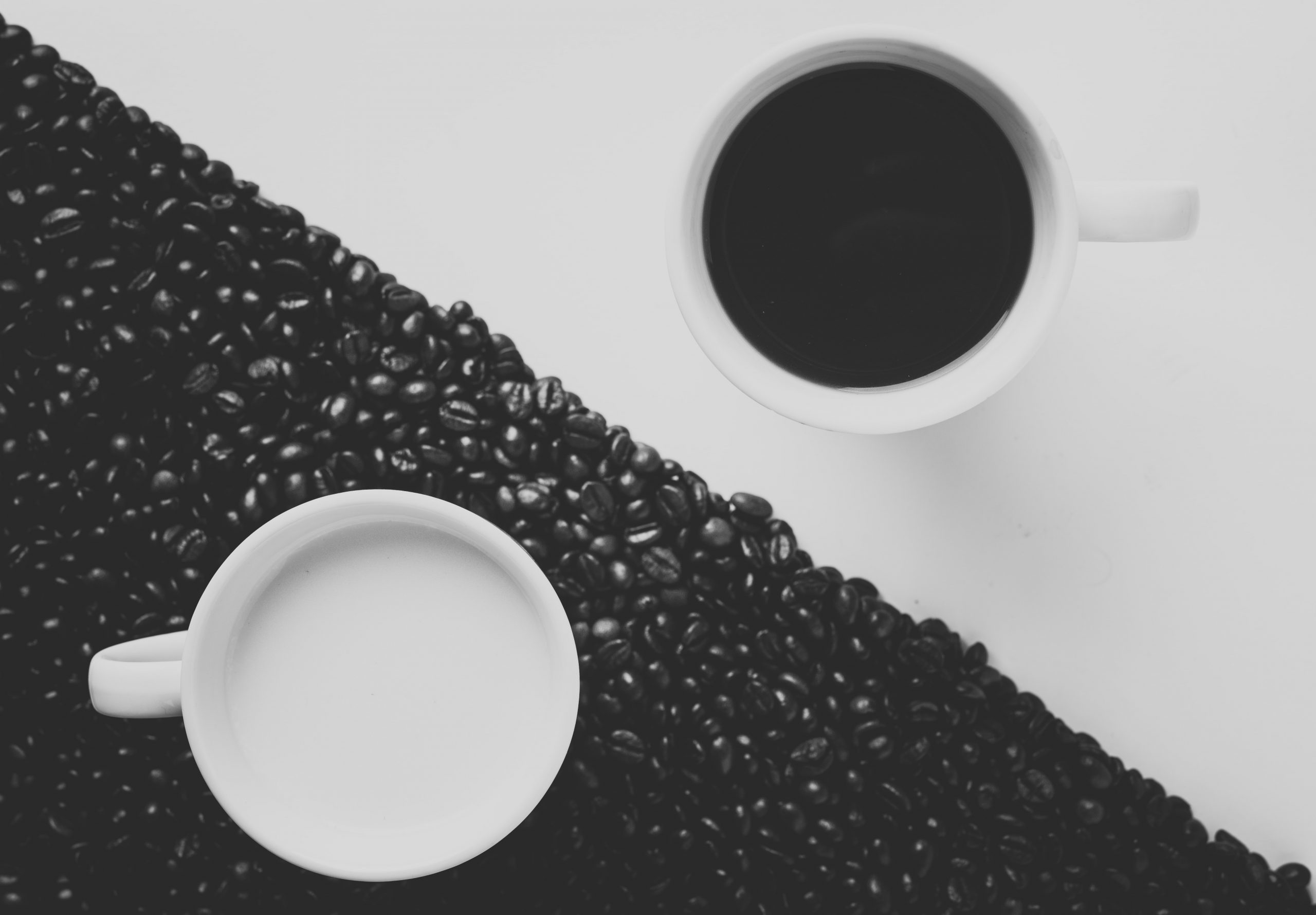 What We Can Learn from Prophetic Division