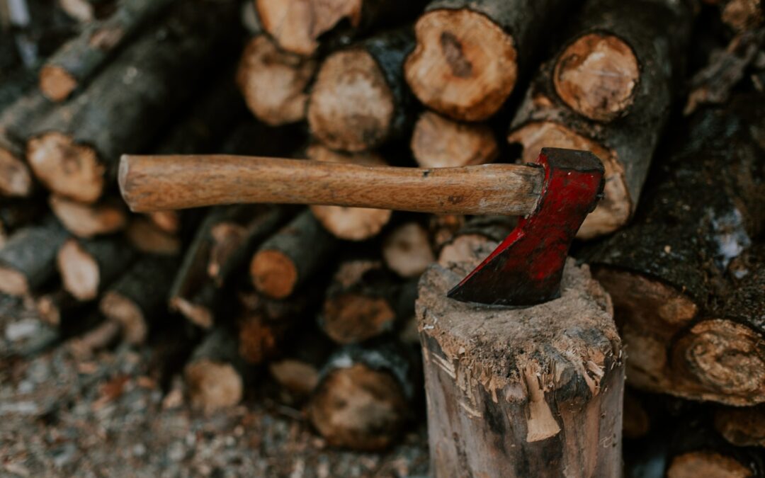 Prophetic Prayer: Laying an Axe to Demonic Roots