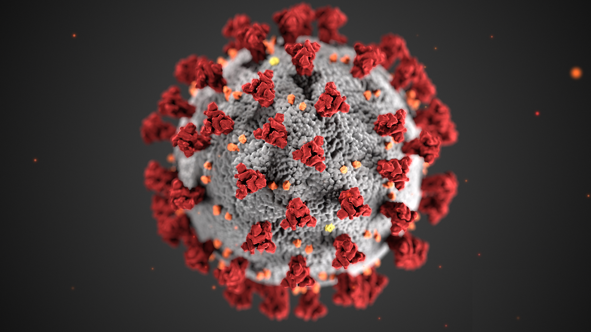 Jennifer LeClaire’s Prophetic Perspective on the Coronavirus (COVID-19)
