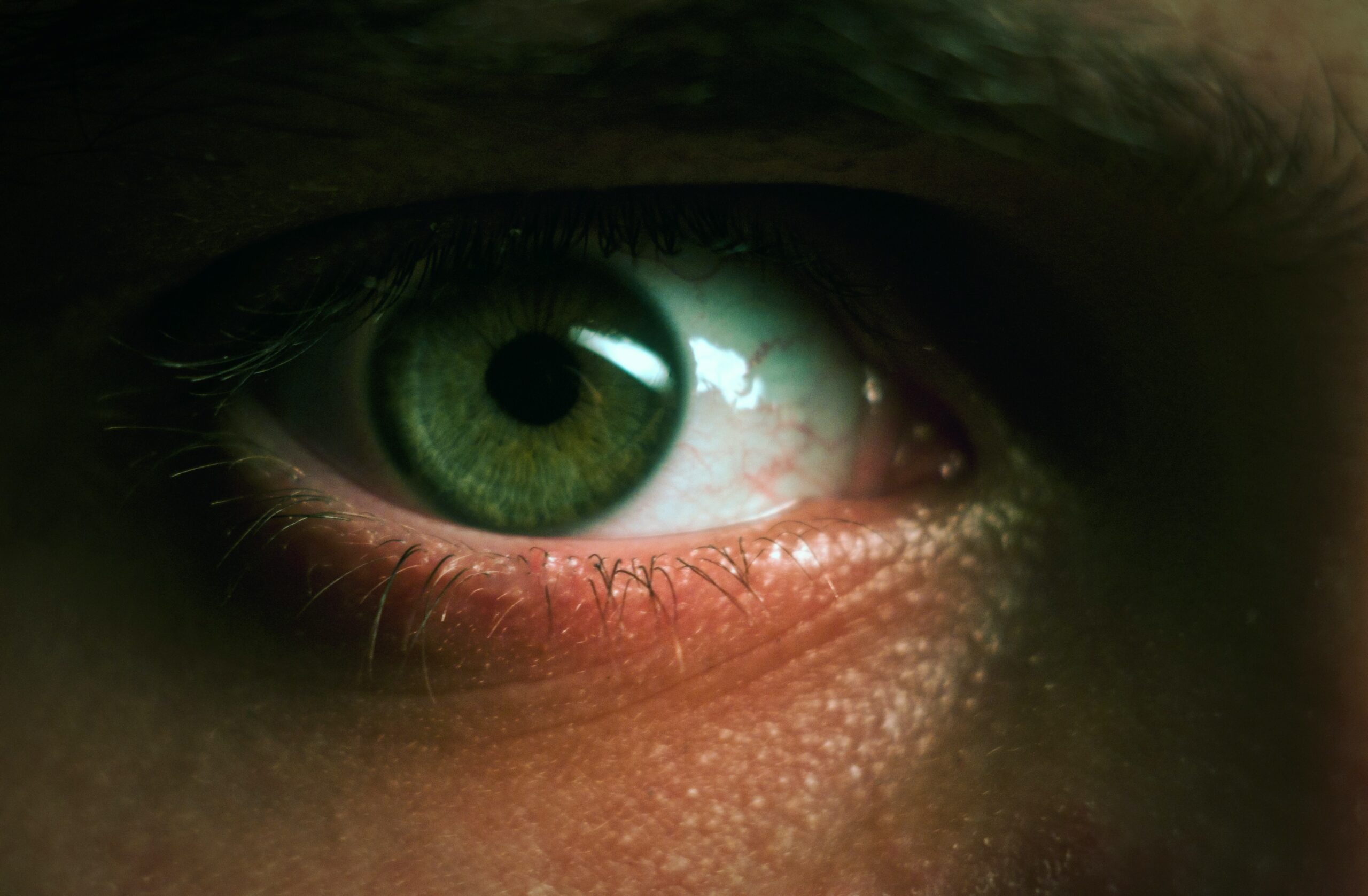 Beware the Green-Eyed Monster | Walking in the Spirit