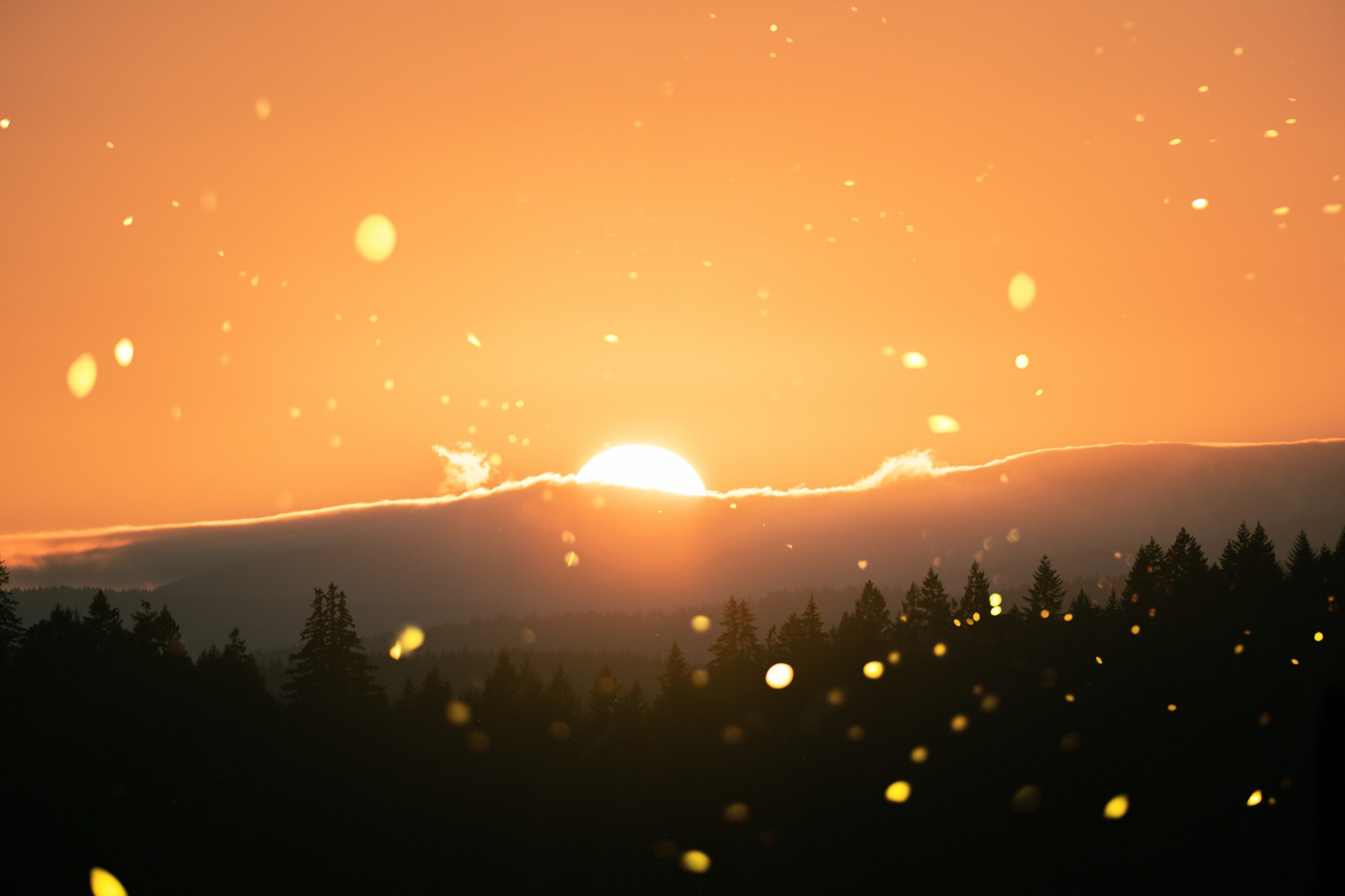 Encountering Jesus in the Seer Dimensions | Seer Anointing