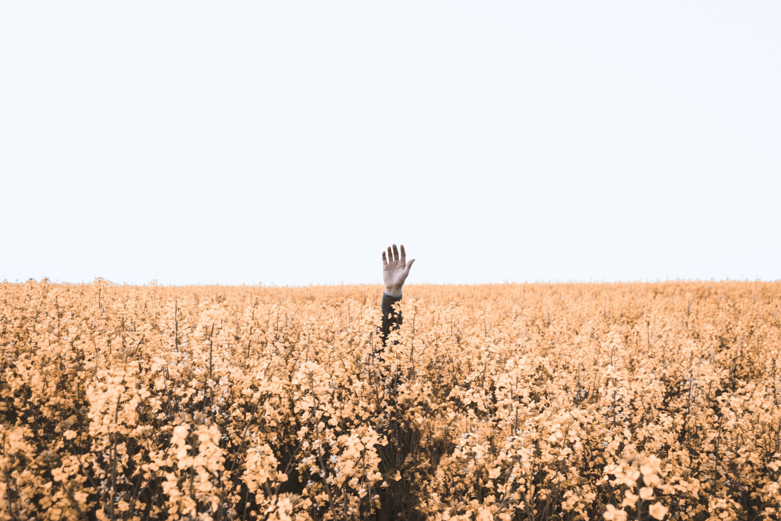 Prophetic Prayer: When You Can’t Find Your Way