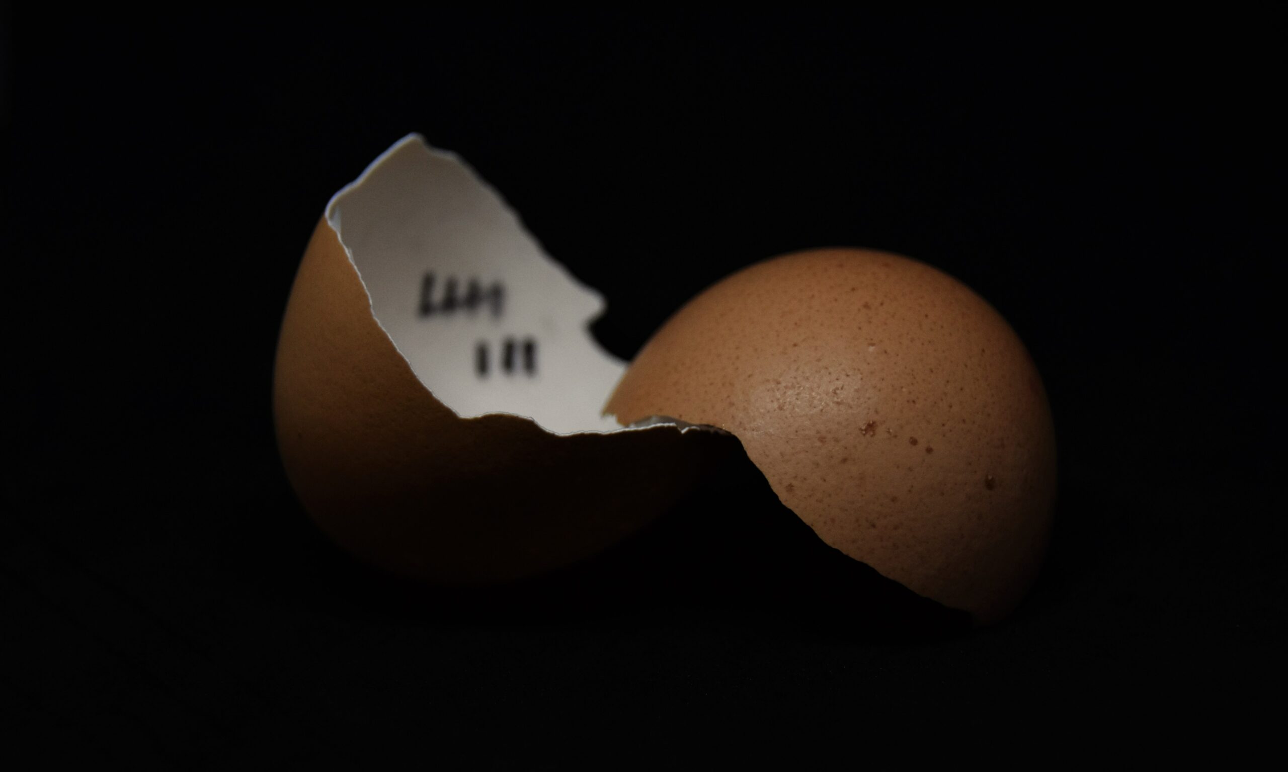 The Rejection Eggshell Syndrome That Repels People
