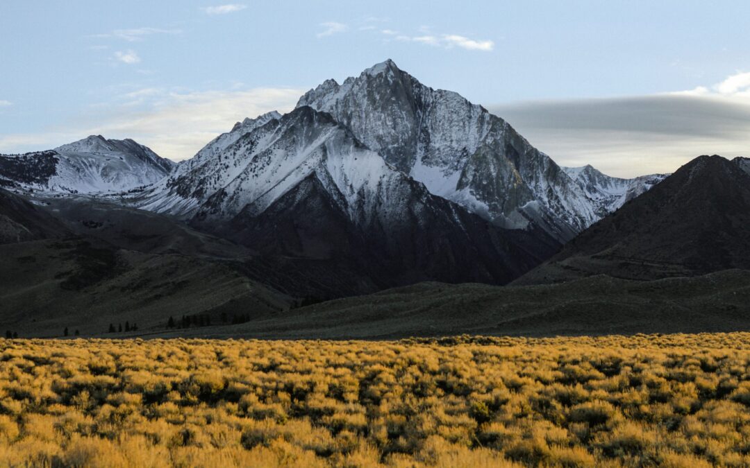 Moving the Mountains in Your Mind (Prophetic Prayer & Prophecy)