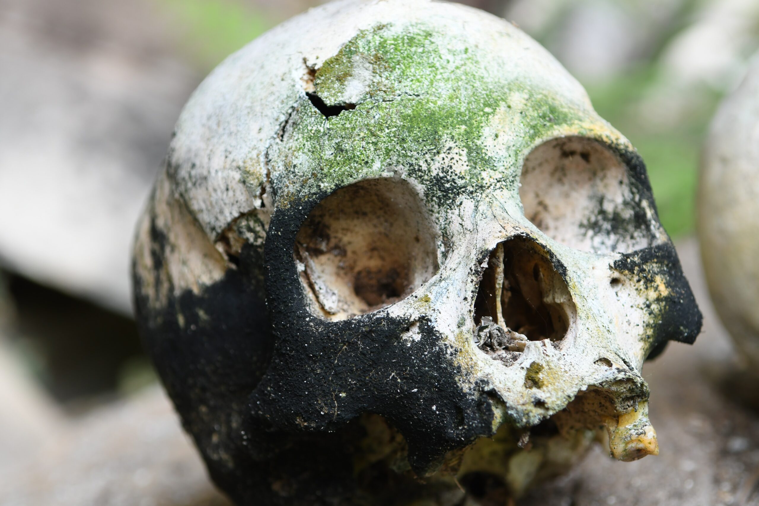 Deliverance From the Spirit of Death