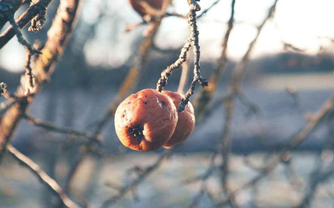 The Fruit of Prayerlessness | Next Great Move of God