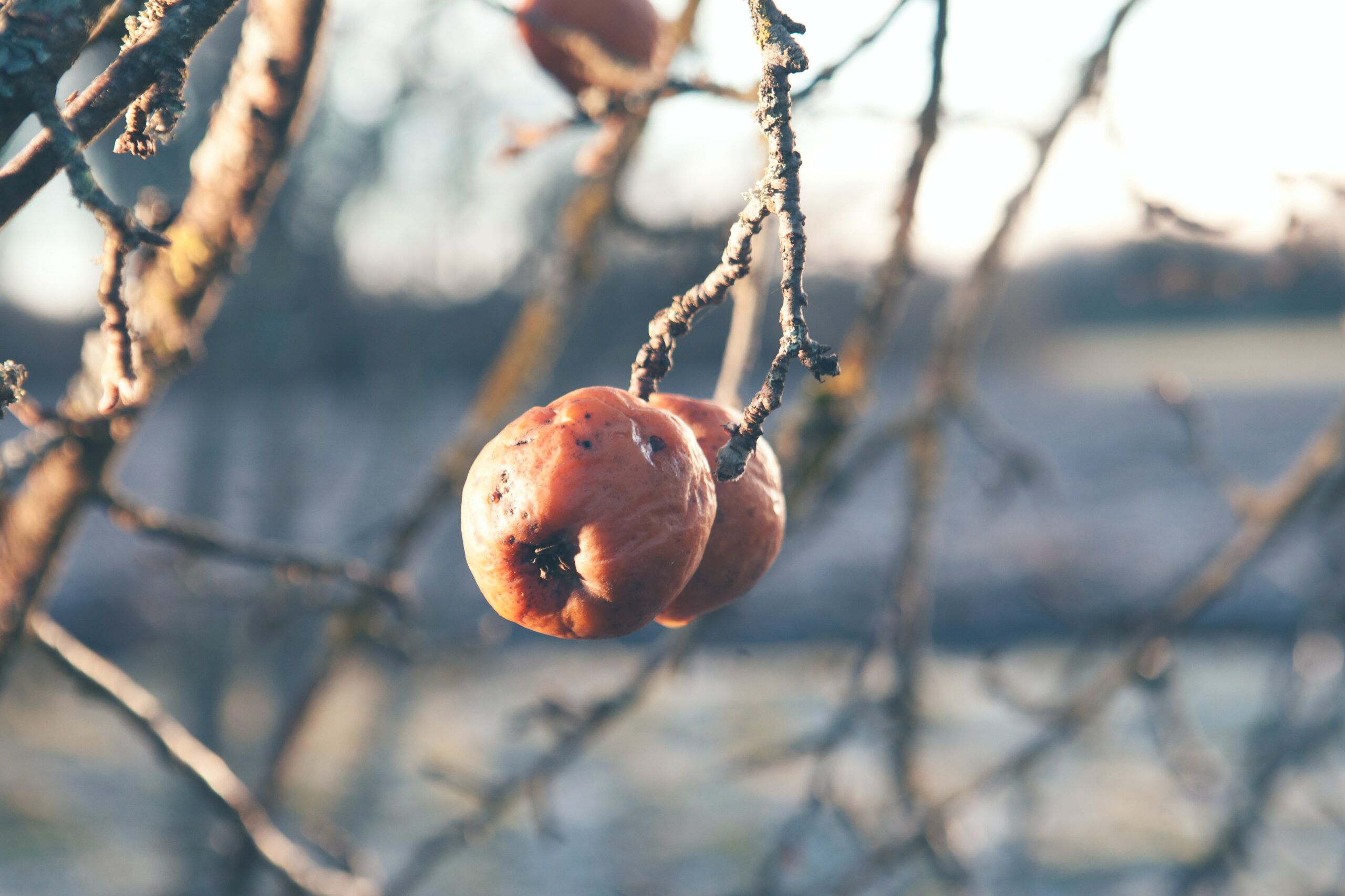 The Fruit of Prayerlessness | Next Great Move of God