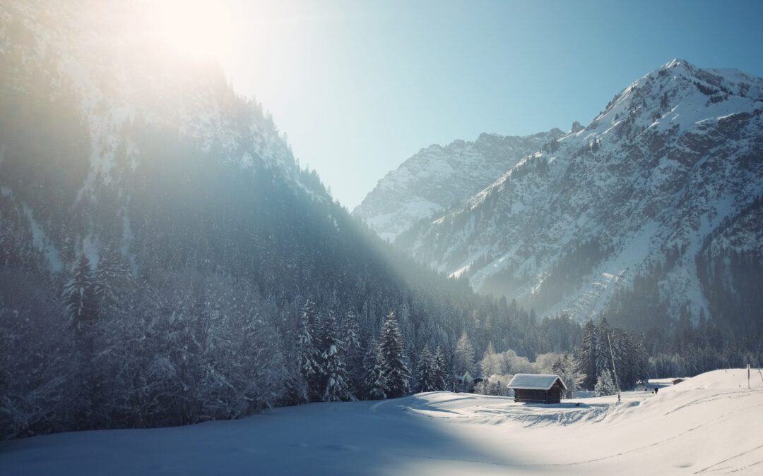 Prophetic Prayer: Walking Through a Winter Season