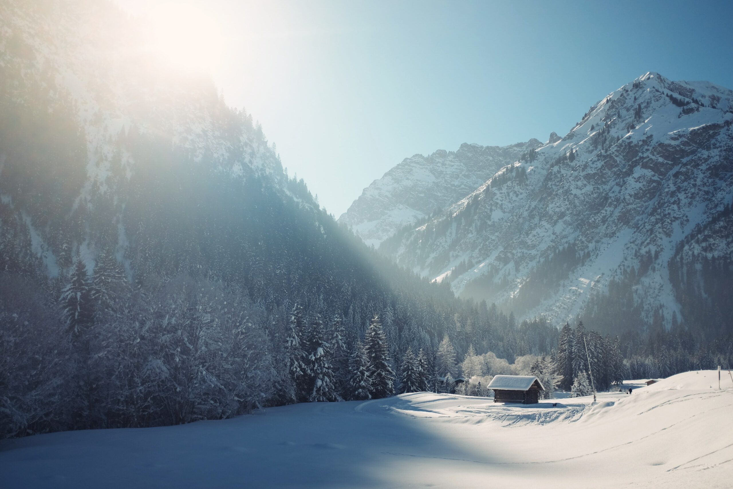 Prophetic Prayer: Walking Through a Winter Season