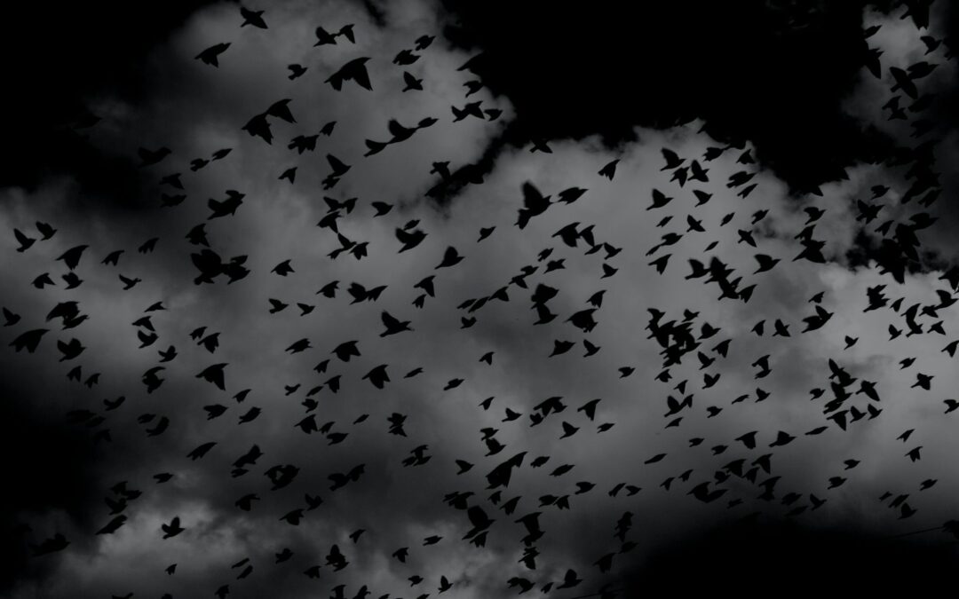 Prophetic Prayer: Battling Nightmares