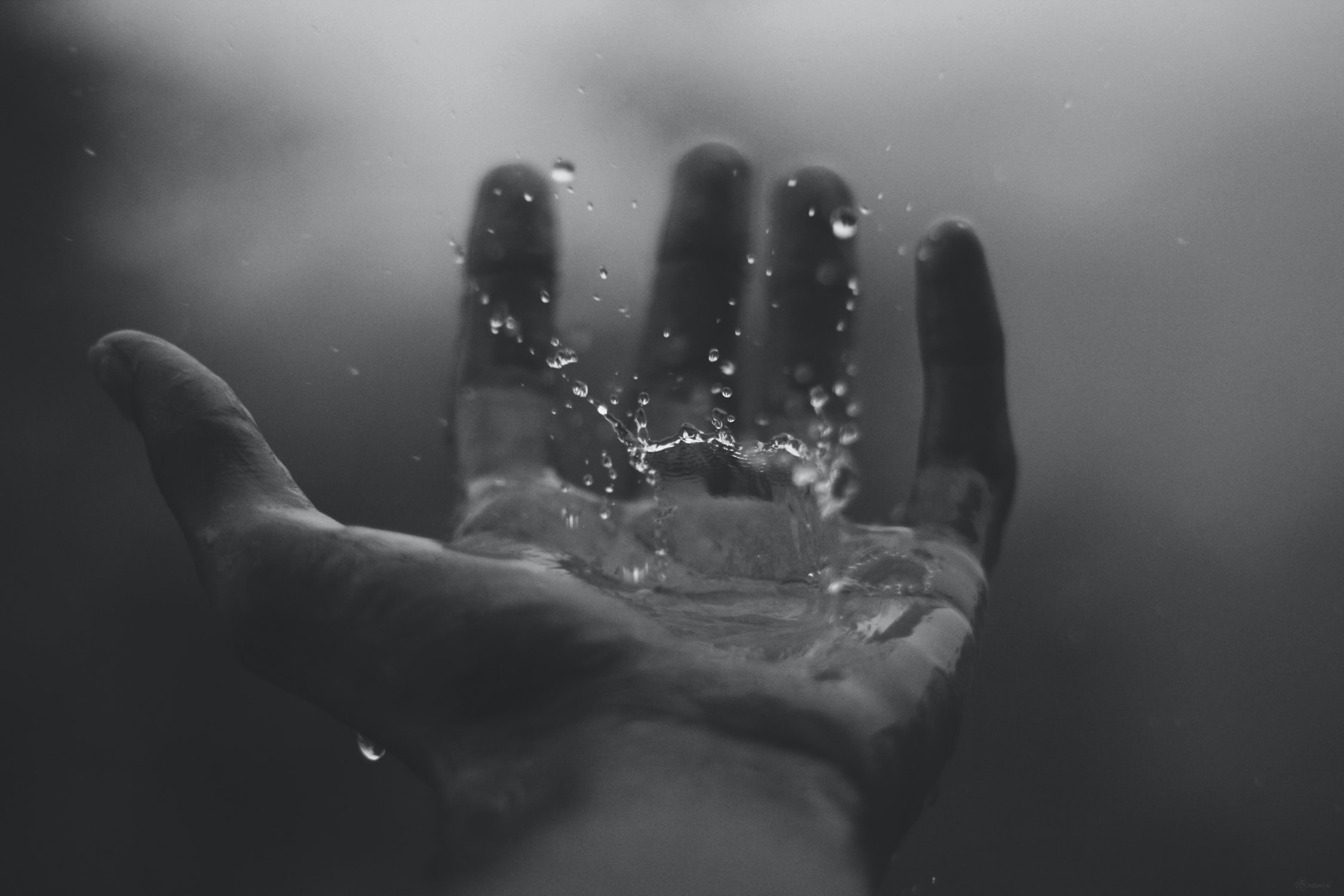 Prophecy: Let it Rain Salvation, Favor and Vindication