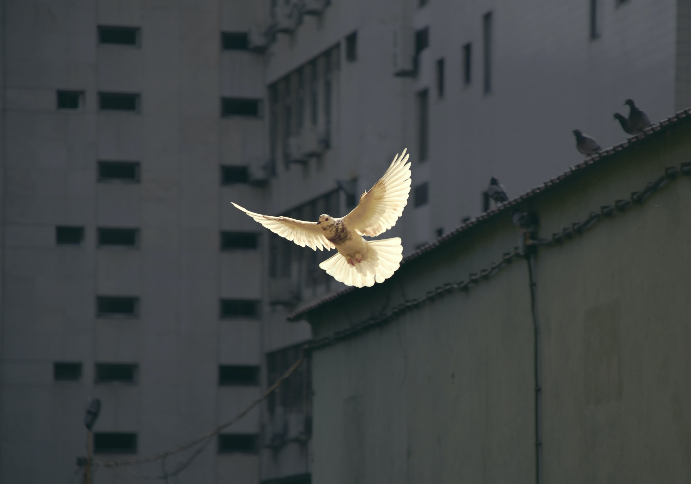 All Believers Can See in The Spirit | Expect to See