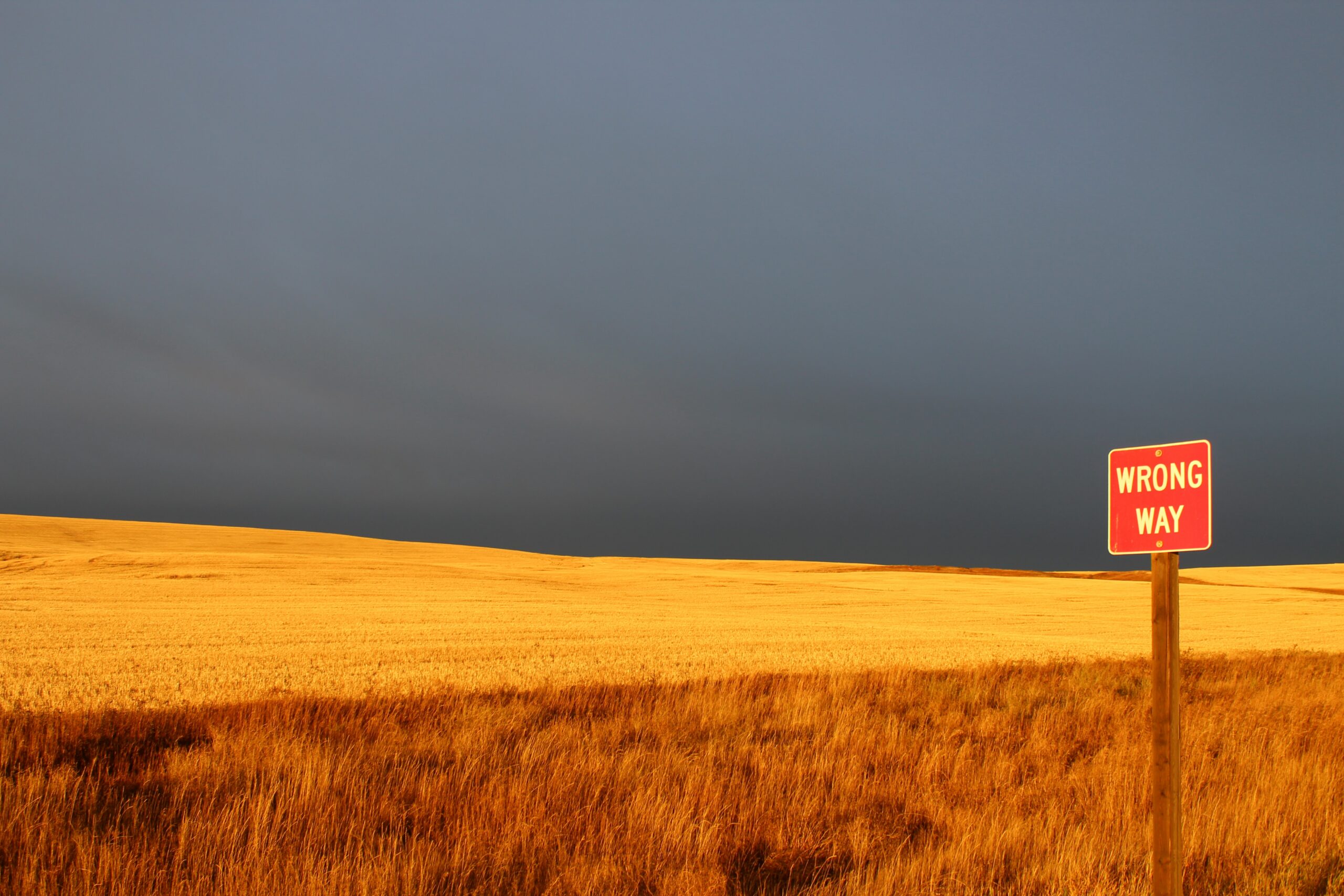 How to Come Back From Prophetic Error