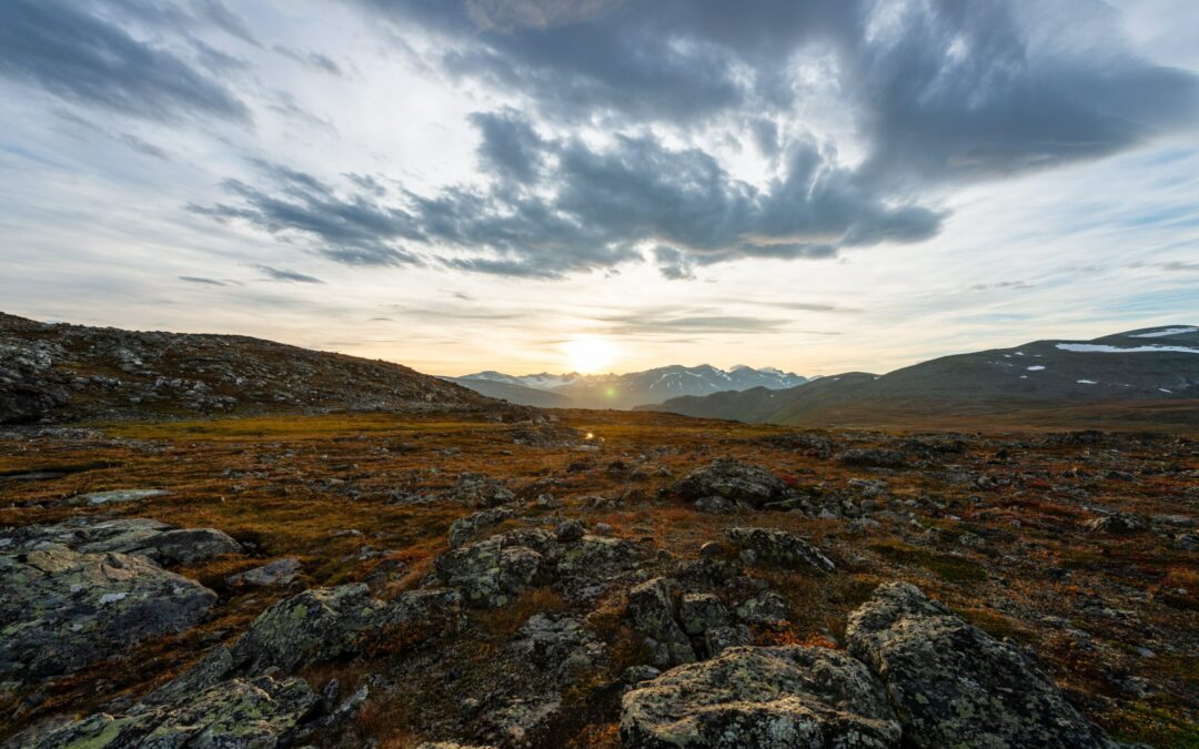 Prophetic Prayer: You Don’t Have to Live in the Wilderness Anymore