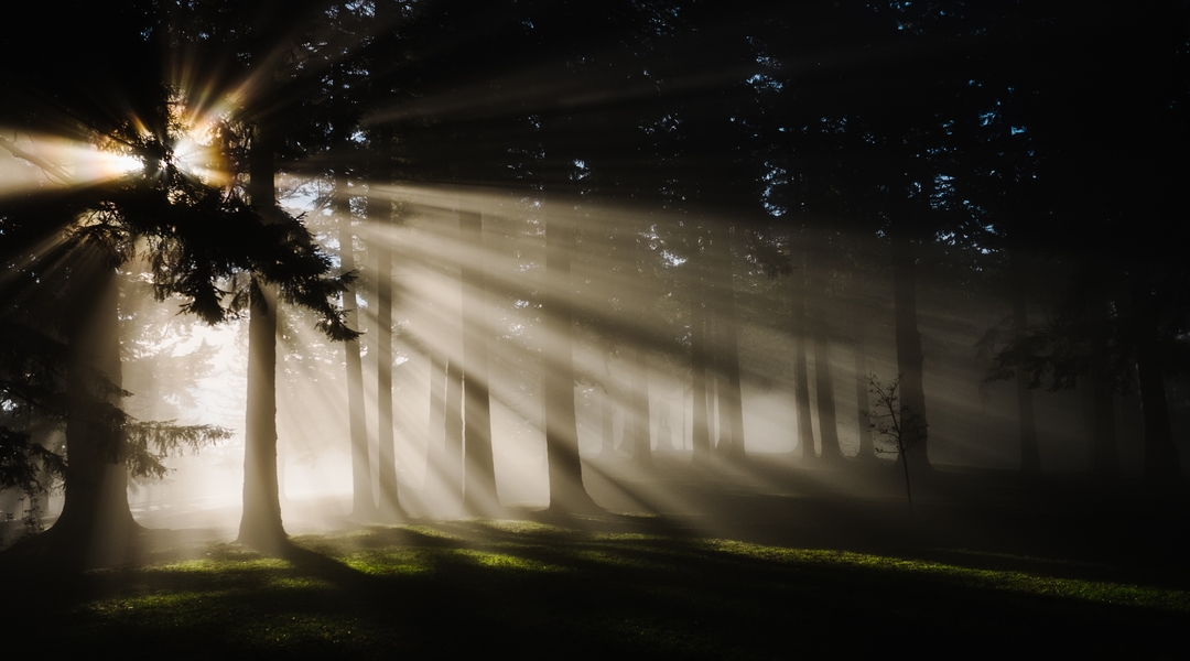 The Truth About Angels & Demons: Why Angels Show Themselves to People