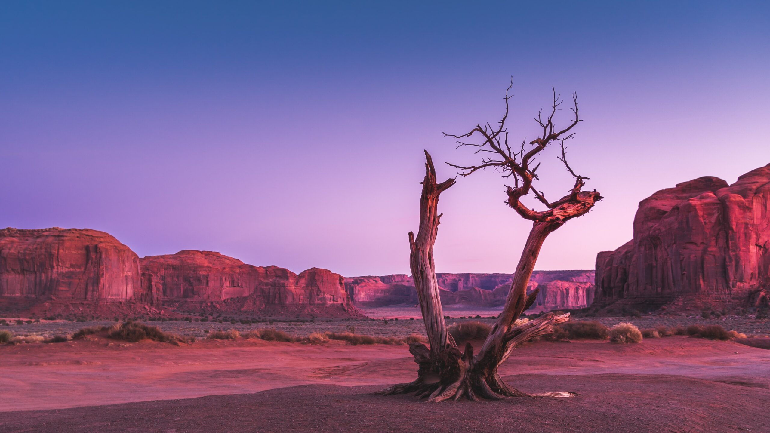 A Prophecy for Those Walking Through Dry Seasons
