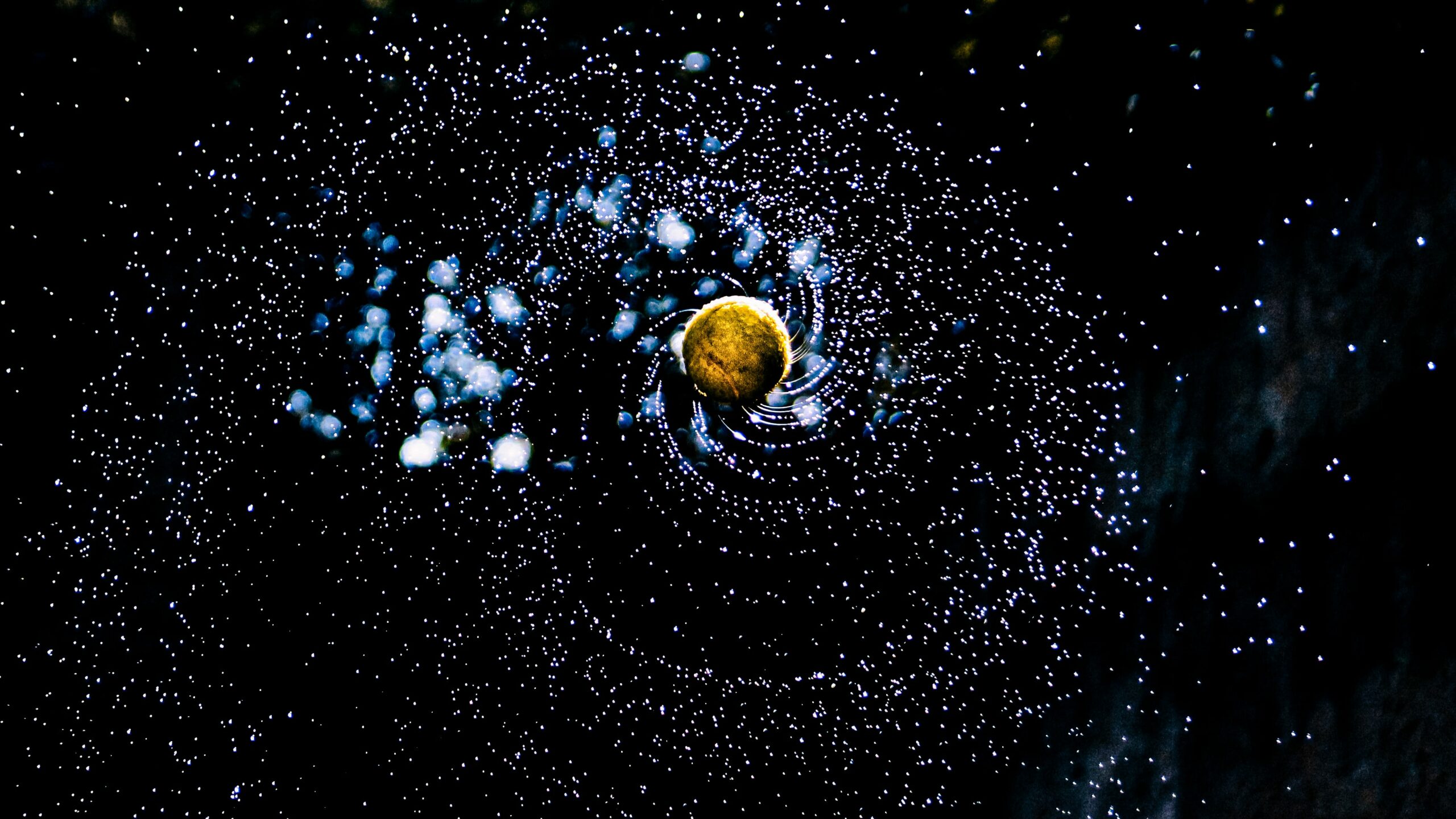 Prophetic Words Point to Outer Space Tragedies