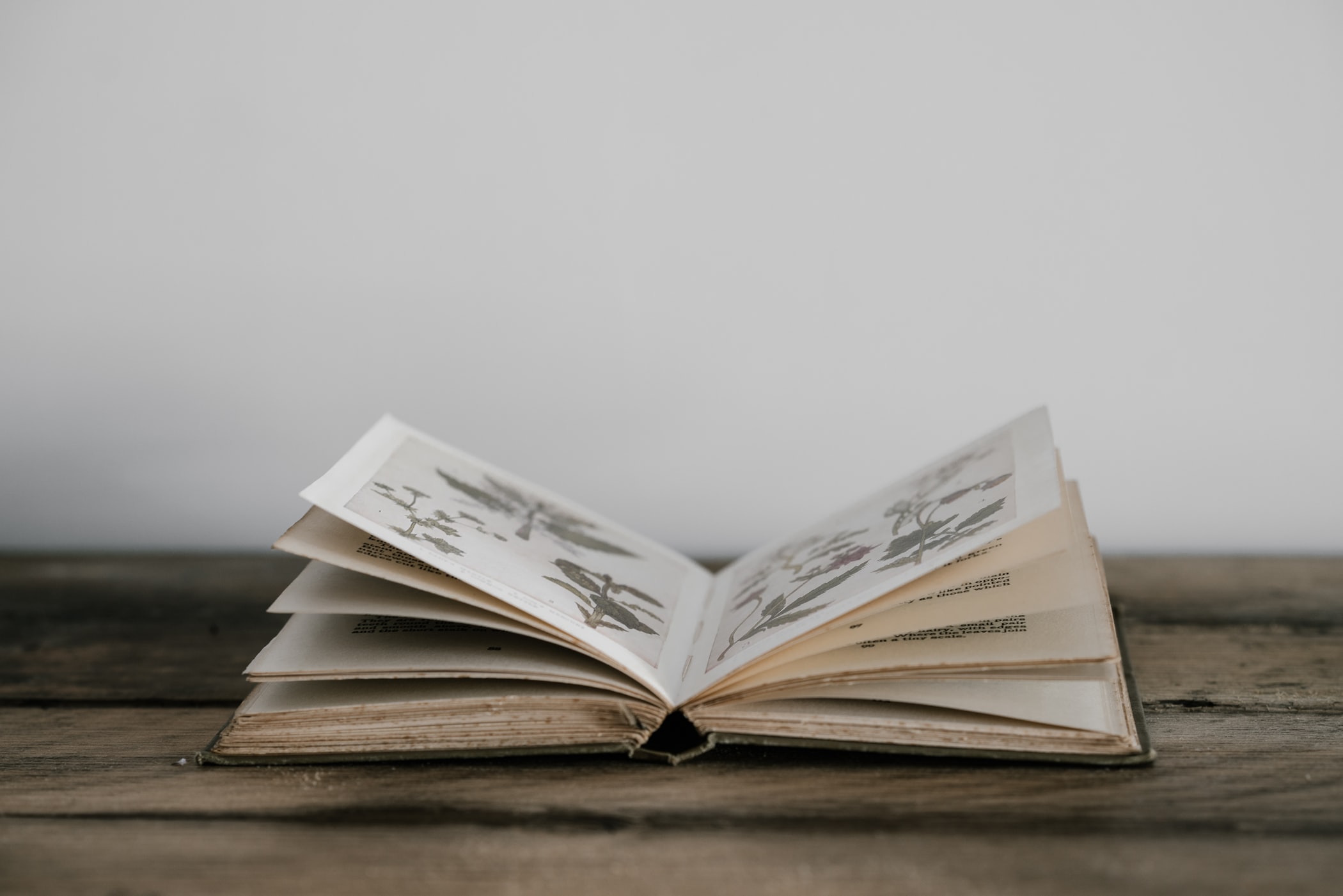A New Year 2020 Declaration Over Your Prophetic Life
