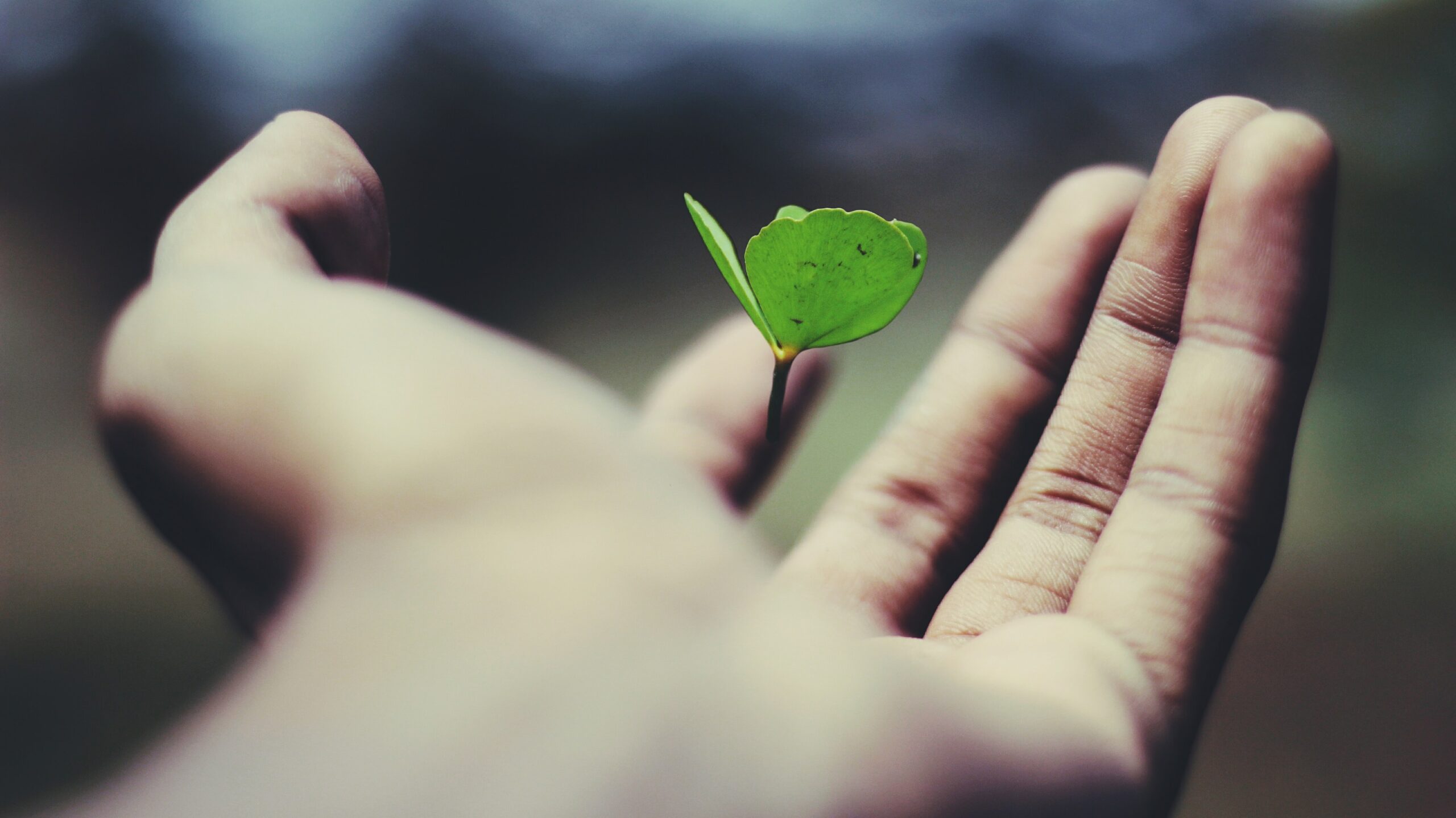Keys to Growing in Spiritual Discernment