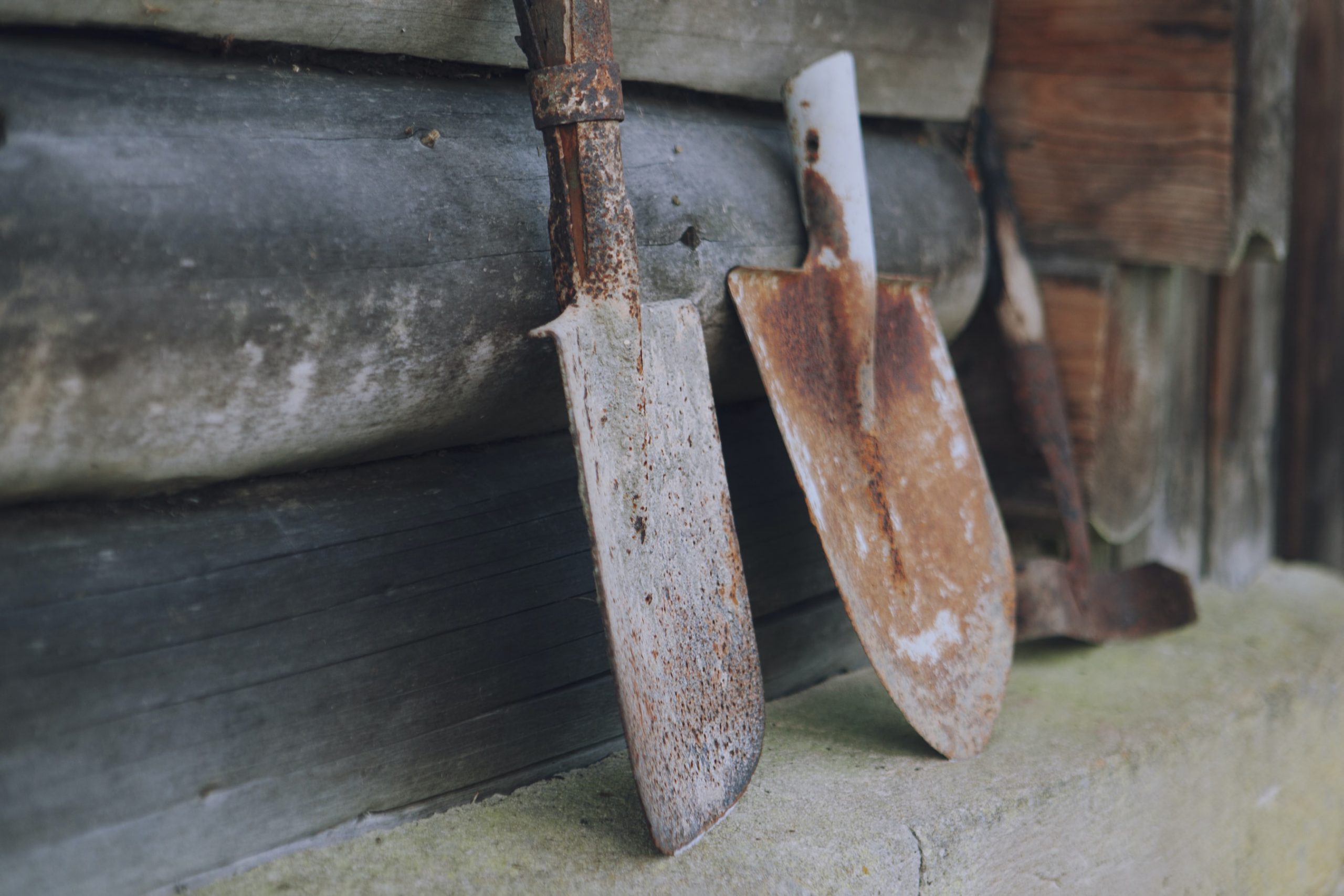 Prophetic Word: Pick Up Your Shovel