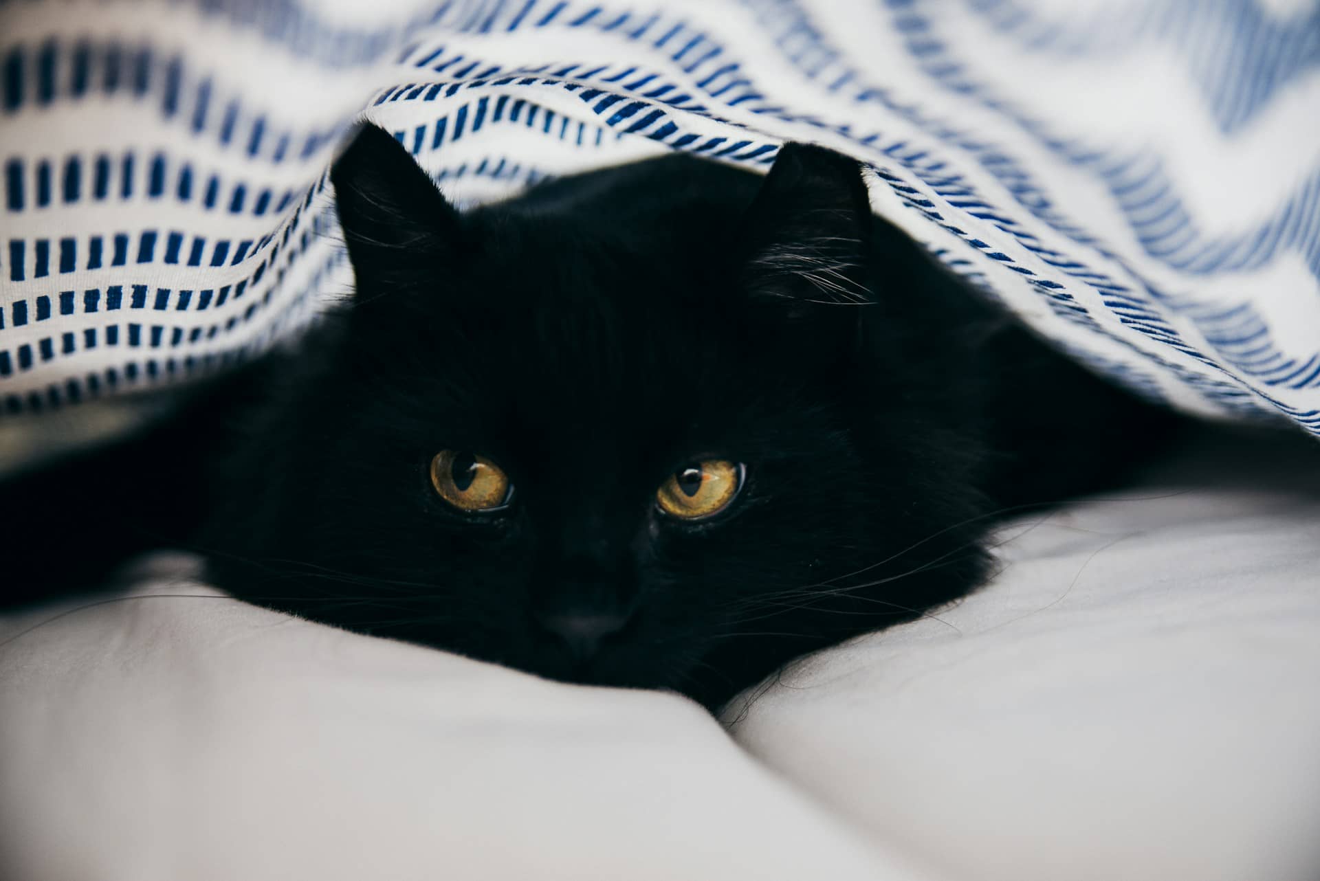Discerning Hidden Witchcraft Attacking Your Life