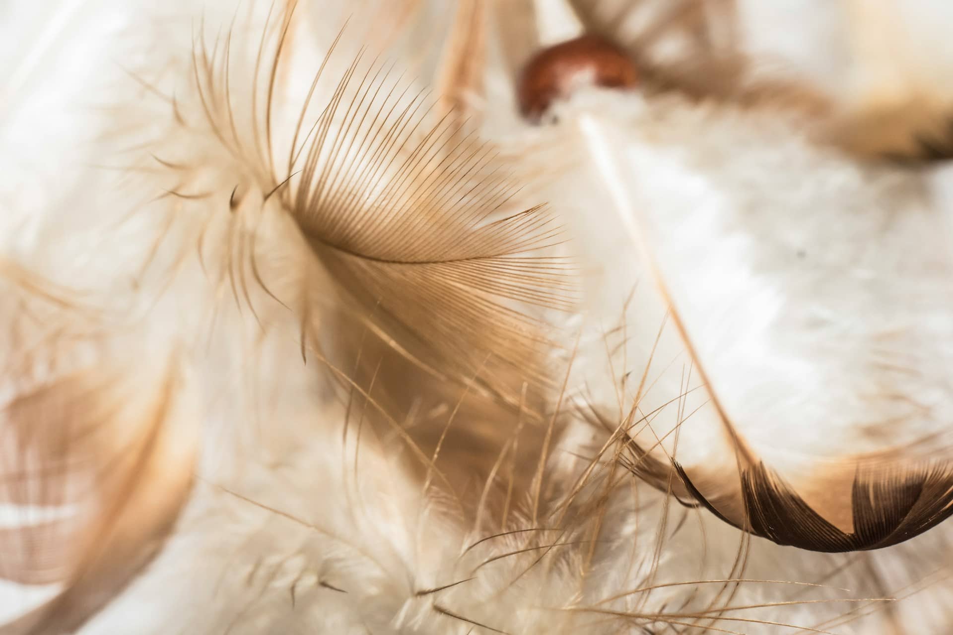 Angelic Protection in the Battle: God Is Sending Reinforcements