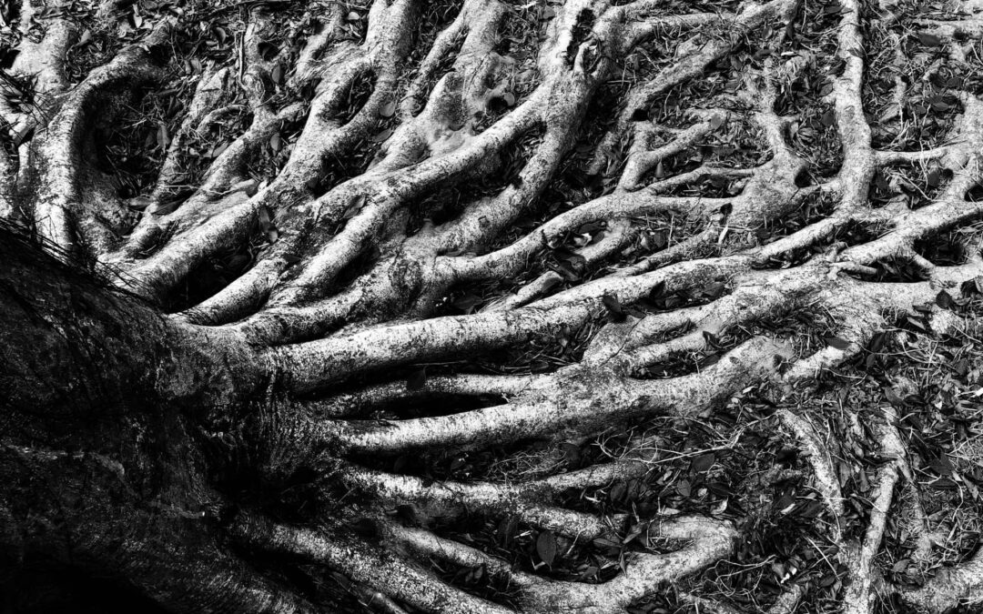 Breaking Cycles of Delay in Your Bloodline