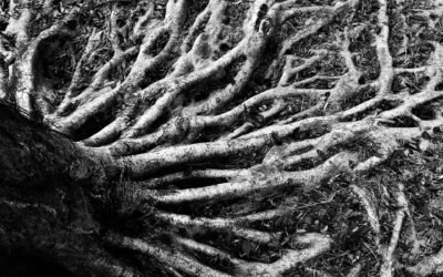 Breaking Cycles of Delay in Your Bloodline