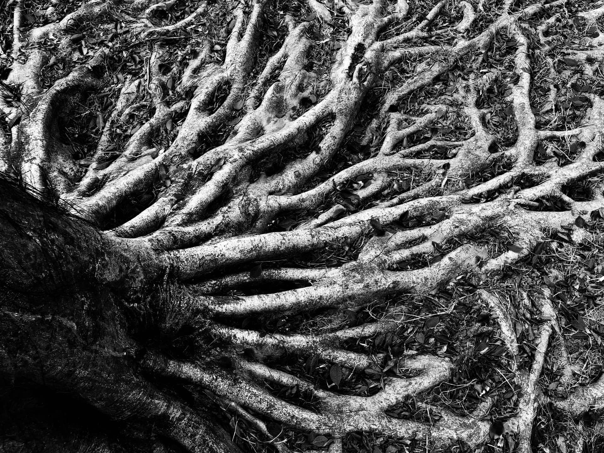 Breaking Cycles of Delay in Your Bloodline