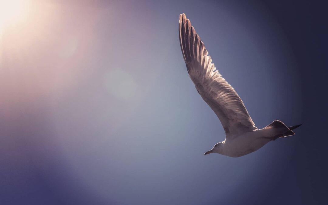 Cultivating Sensitivity to the Holy Spirit