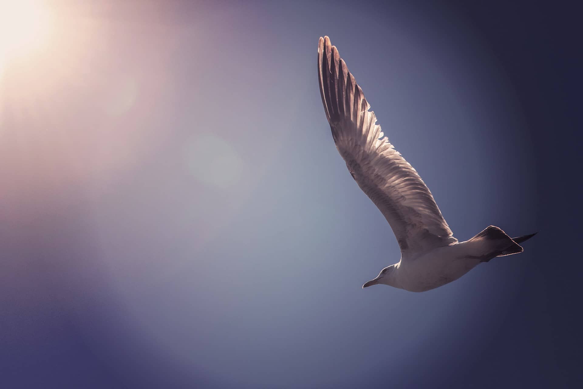 Cultivating Sensitivity to the Holy Spirit