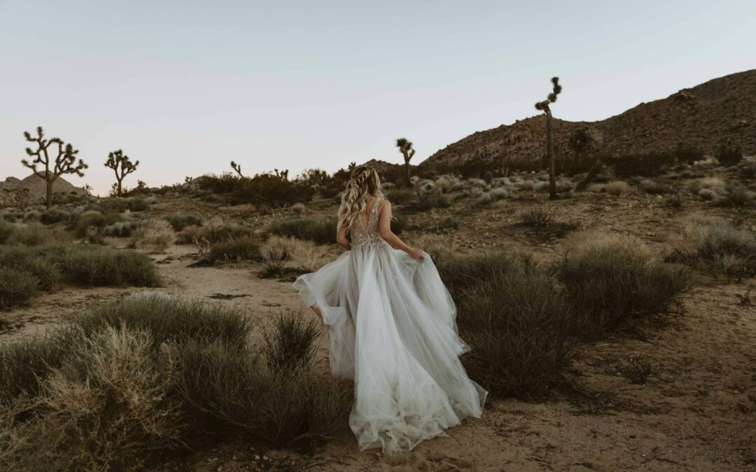 Awaken the Bride: A Prophetic Call to Pray for the Church in This Hour