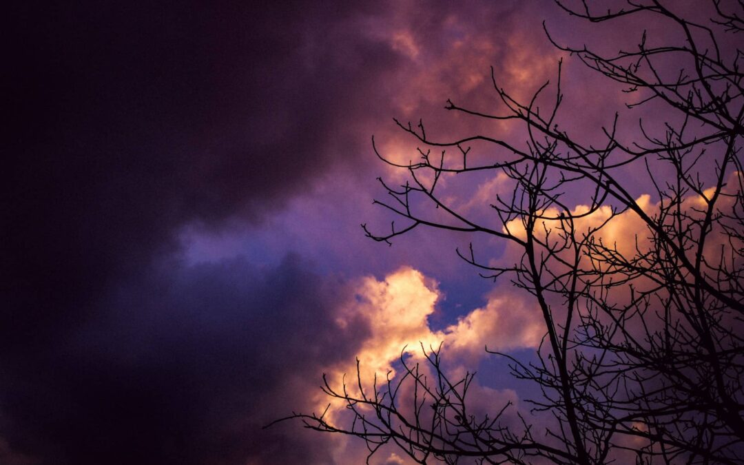 Warning: What God Showed Me About November