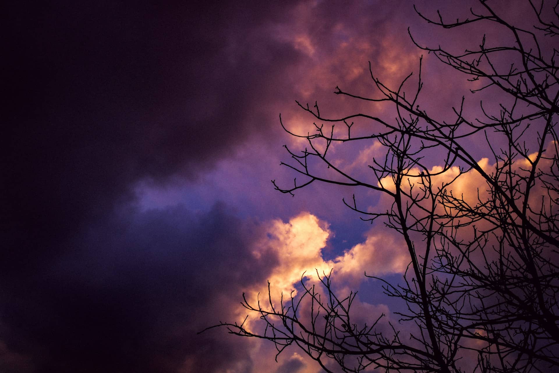 Warning: What God Showed Me About November