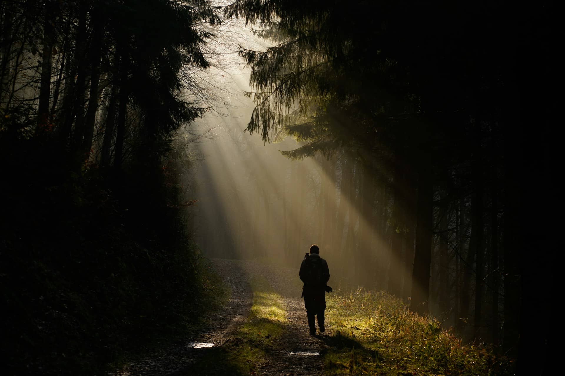 Break Free from Stubborn Cycles