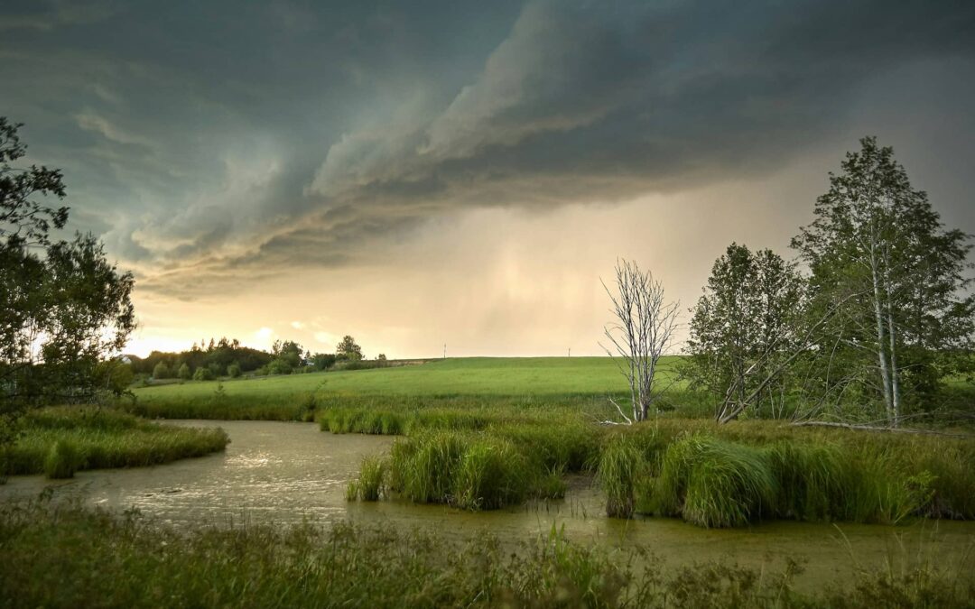 Are We Living in the Days of Noah Again?
