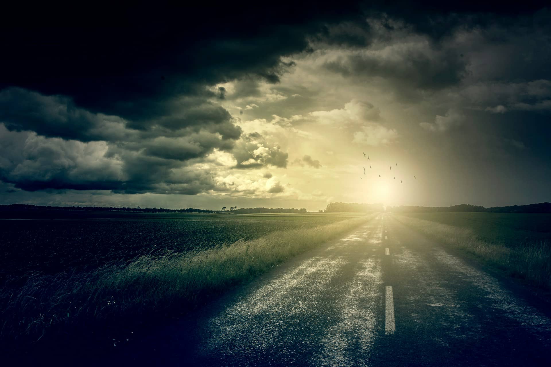 Prophecy: Reassessing Alignments: People, Projects, Priorities
