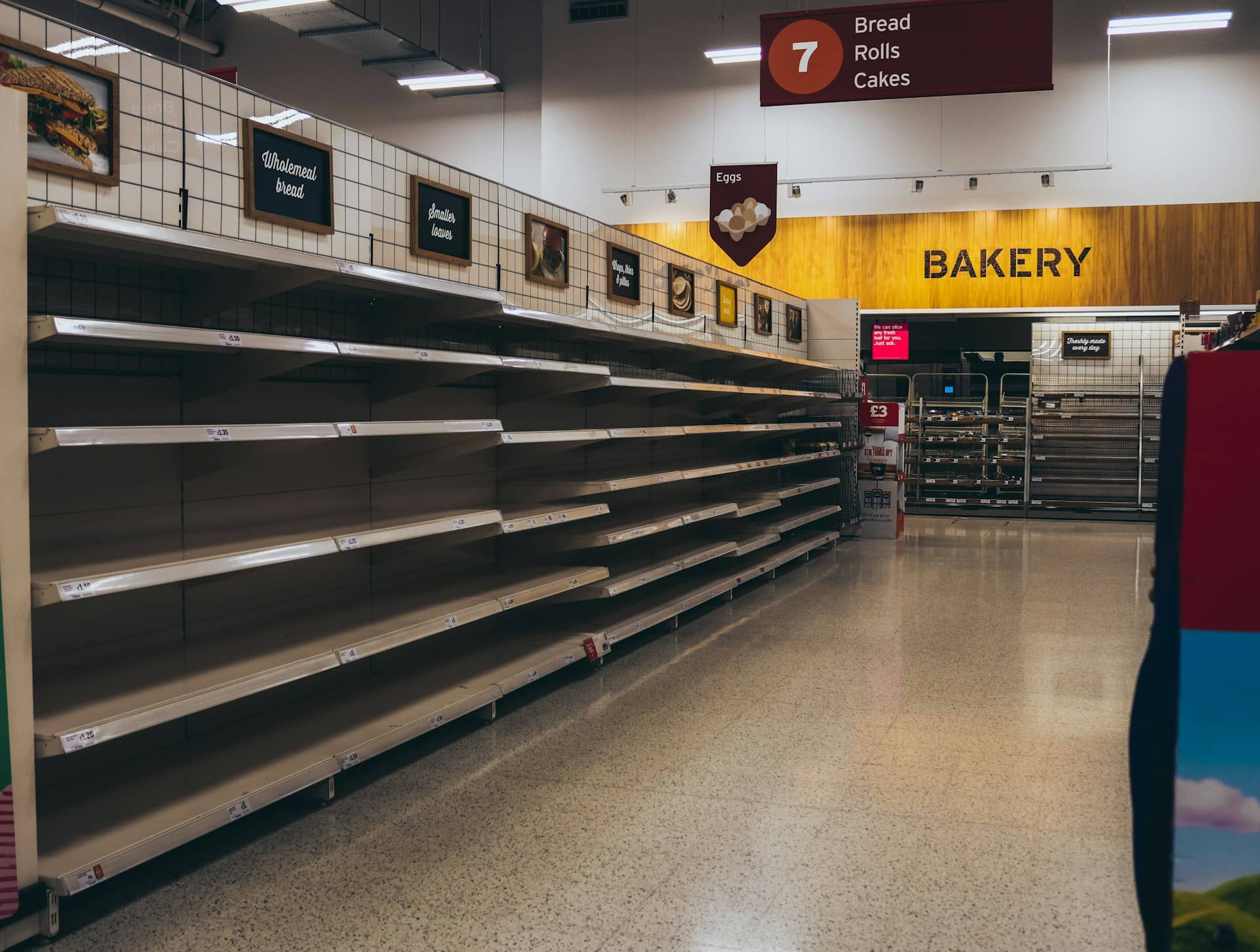 Standing Against the Food Crisis